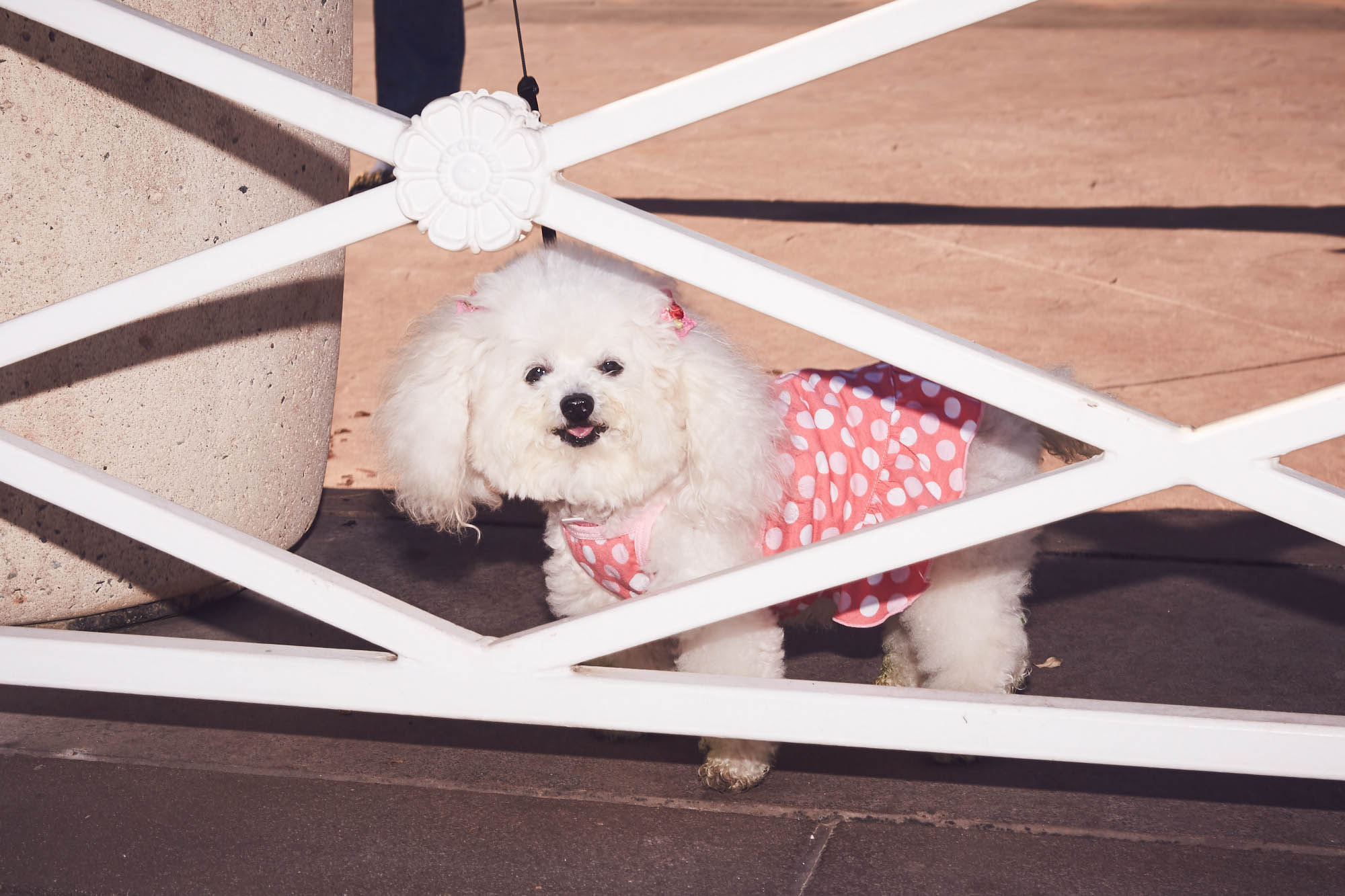1079_KAYLA_STRA_GOOD_01_REPORTAGE_A-0299