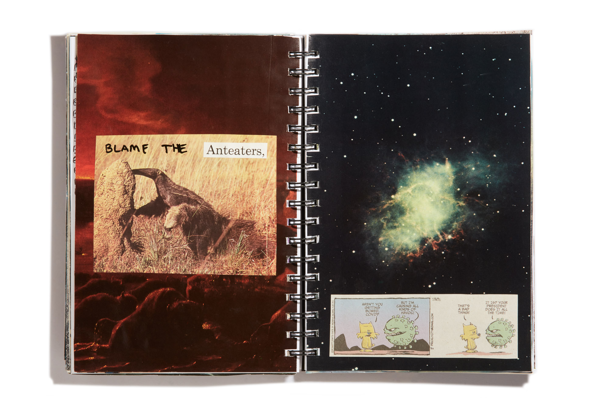 JOURNAL_FINALS_0062